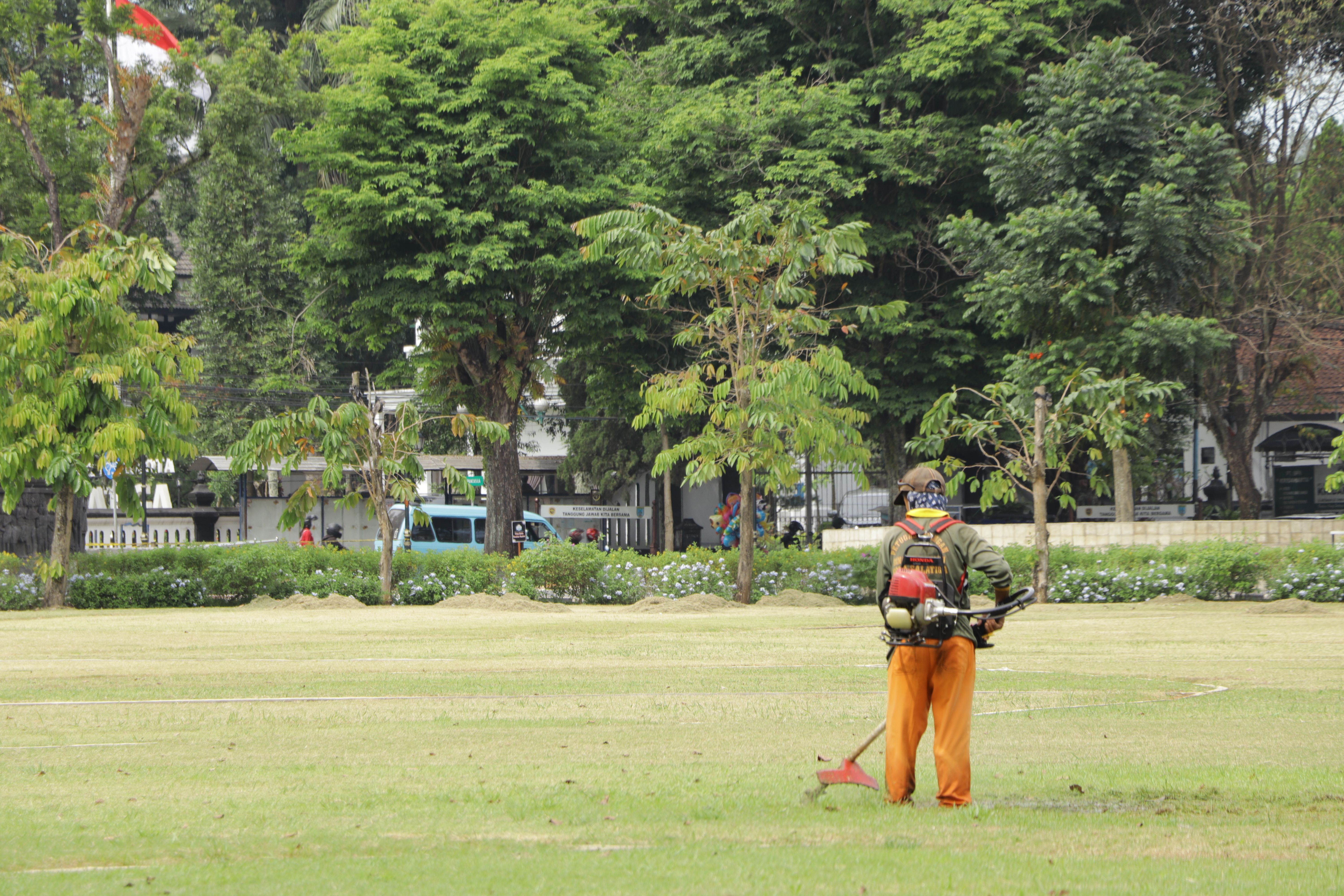 公園の緑地管理作業イメージ