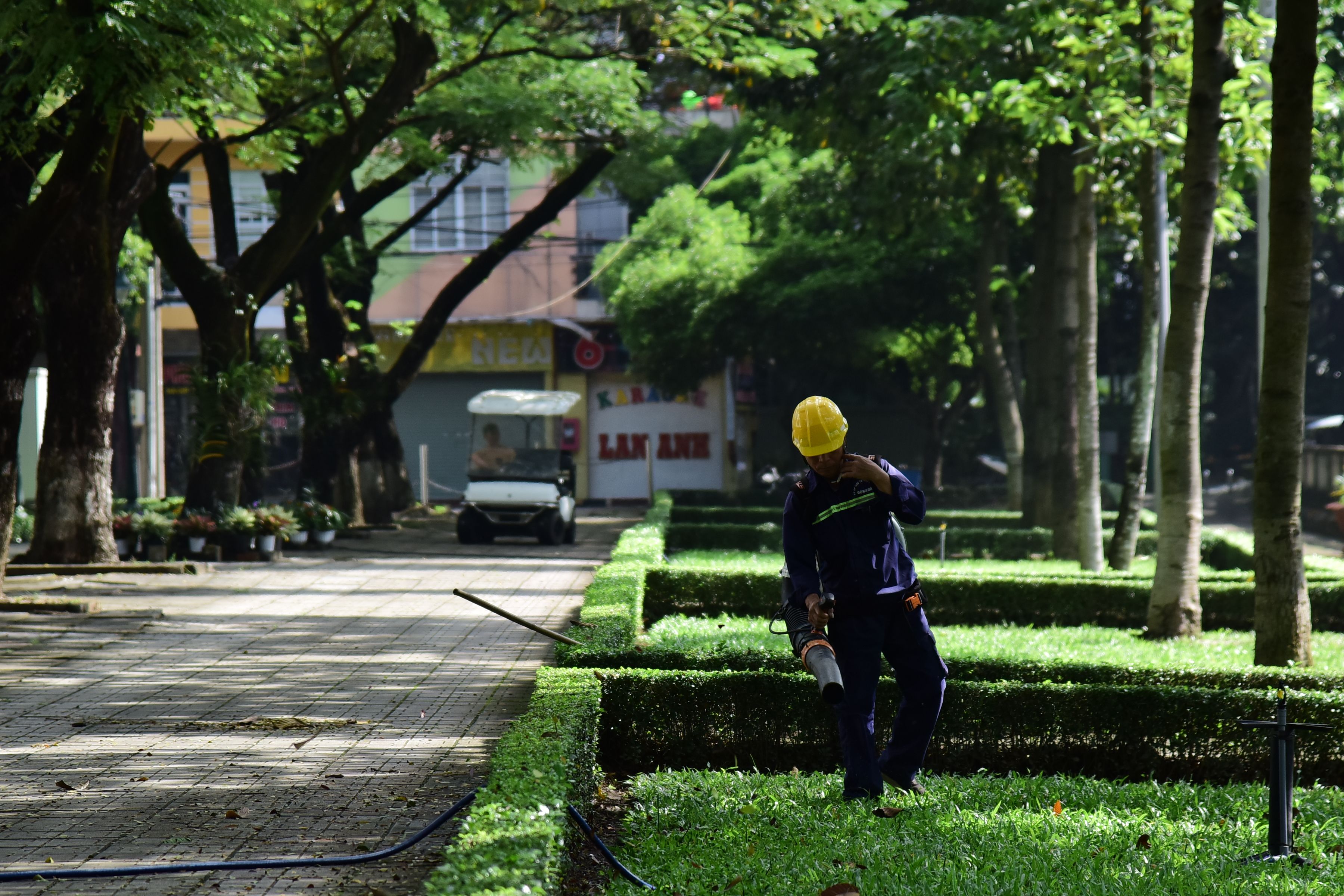 公園での樹木・緑地管理作業イメージ